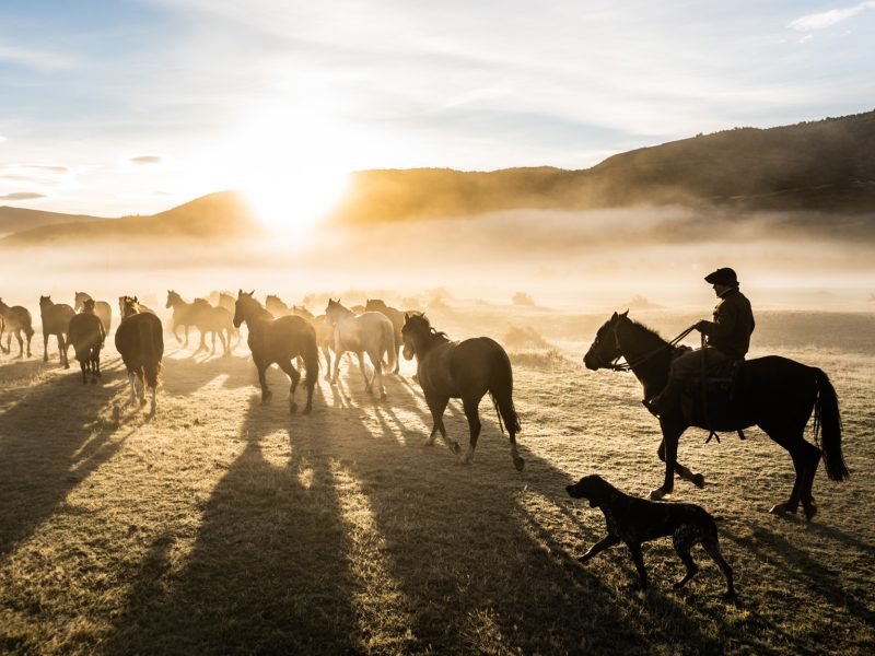 Elena Bam - DSC01503