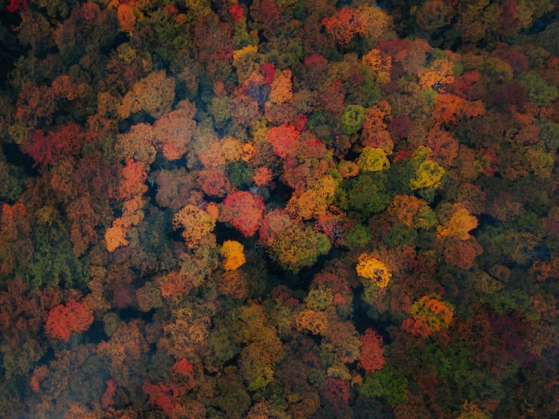 Magallanes Otoño_web07