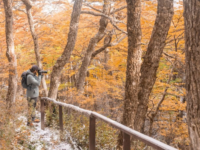 Magallanes Otoño_web15
