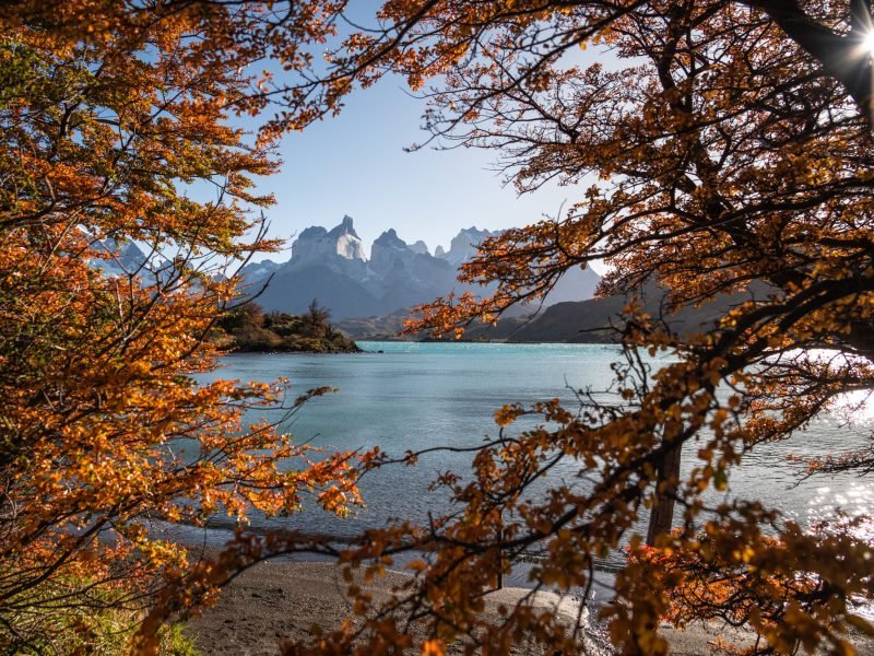 Magallanes Otoño_web18