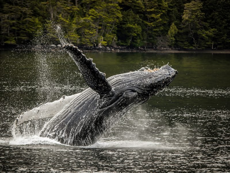 Magallanes Verano_web22